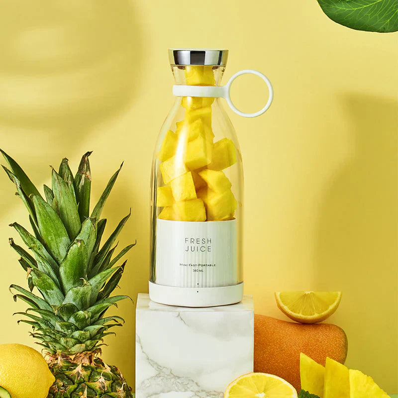 Mini juicer blender